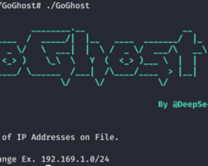 GoGhost 大规模SMBGhost漏洞扫描工具