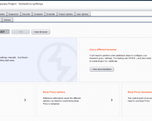 Burp Suite Pro 2020.8 破解版下载burp_2020.8 cracked