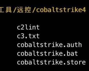 Cobalt Strike 绕过流量审计