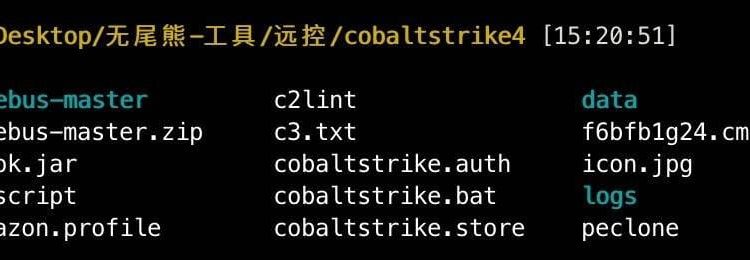 Cobalt Strike 绕过流量审计