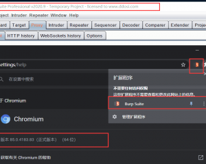 Burp Suite Pro 2020.9 破解版下载burp_2020.9 cracked