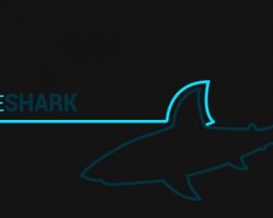 Wireshark 3.3.0发布 具有新功能,协议和捕获文件