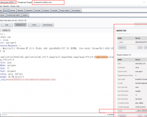 BurpSuite2020.11破解版下载build4810 cracked