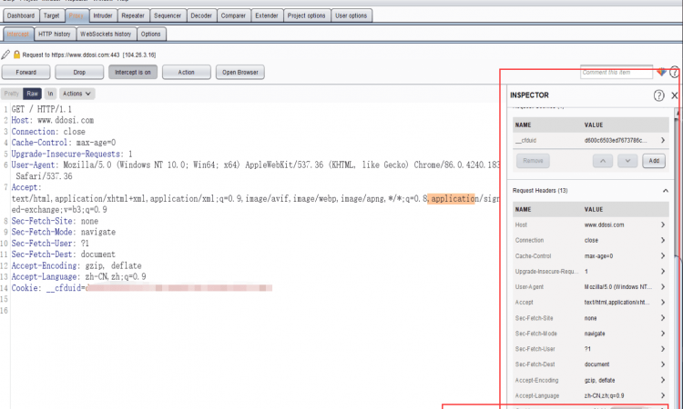 BurpSuite2020.11破解版下载build4810 cracked