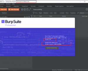 BurpSuite2020.12.1破解版下载build5278 cracked