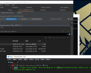 BurpSuite2020.12破解版下载build5207 cracked