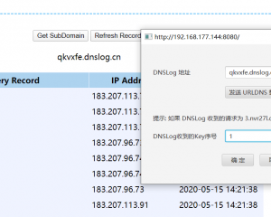 ShiroExploit Shiro反序列化漏洞利用工具