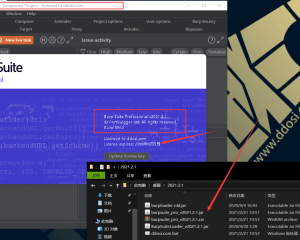 BurpSuite2021.2.1破解版下载build5962 cracked