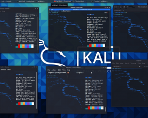 kali linux 2021.1发布|增加新工具|终端调整|自动推荐安装命令