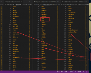 SecLists渗透测试人员密码字典表|fuzz|payload|shell