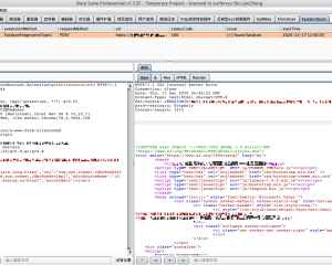 BurpFastJsonScan|BurpSuite被动式FastJson漏洞检测插件