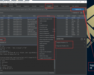 BurpSuite2021.4破解版下载build6901 cracked