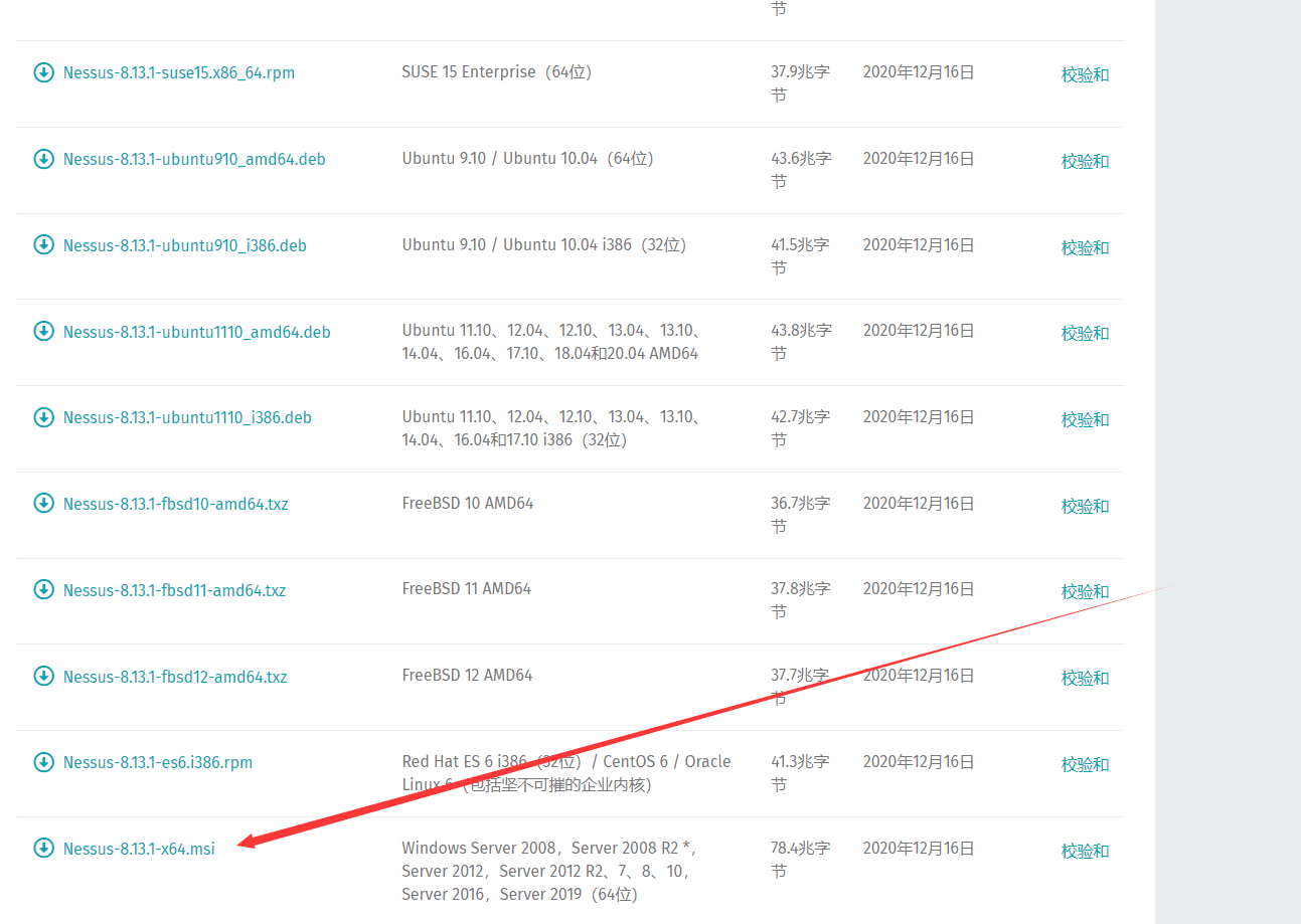 最新企业版 Nessus Pro 破解版+插件+激活方法