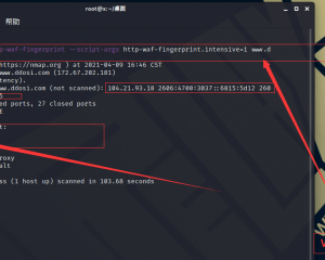 Nmap NSE脚本最终列表|NSE(Nmap脚本语言)备忘单