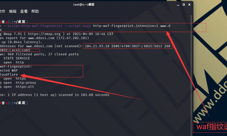 Nmap NSE脚本最终列表|NSE(Nmap脚本语言)备忘单