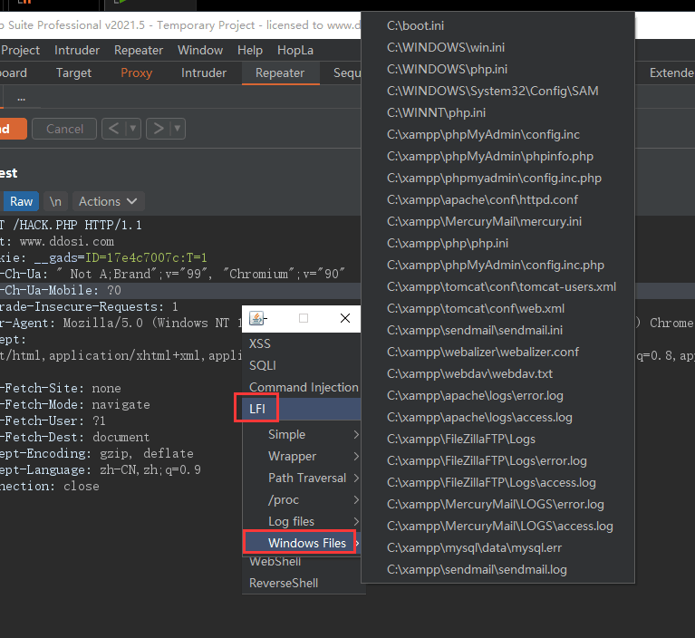 burpsuite插件之HopLa自动补全payloads|可自行diy