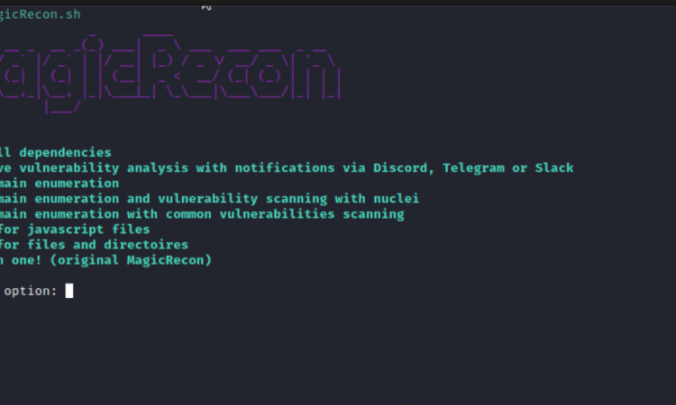 MagicRecon-目标侦察数据收集漏洞扫描shell脚本