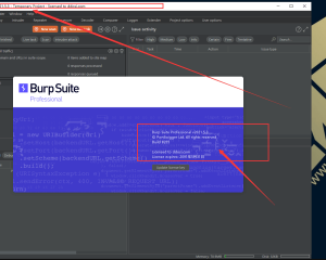 BurpSuite2021.5.3破解版下载build8265 cracked