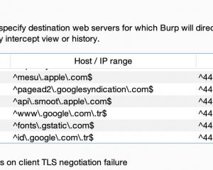 Burp用户社区总结的20个Burp suite使用技巧