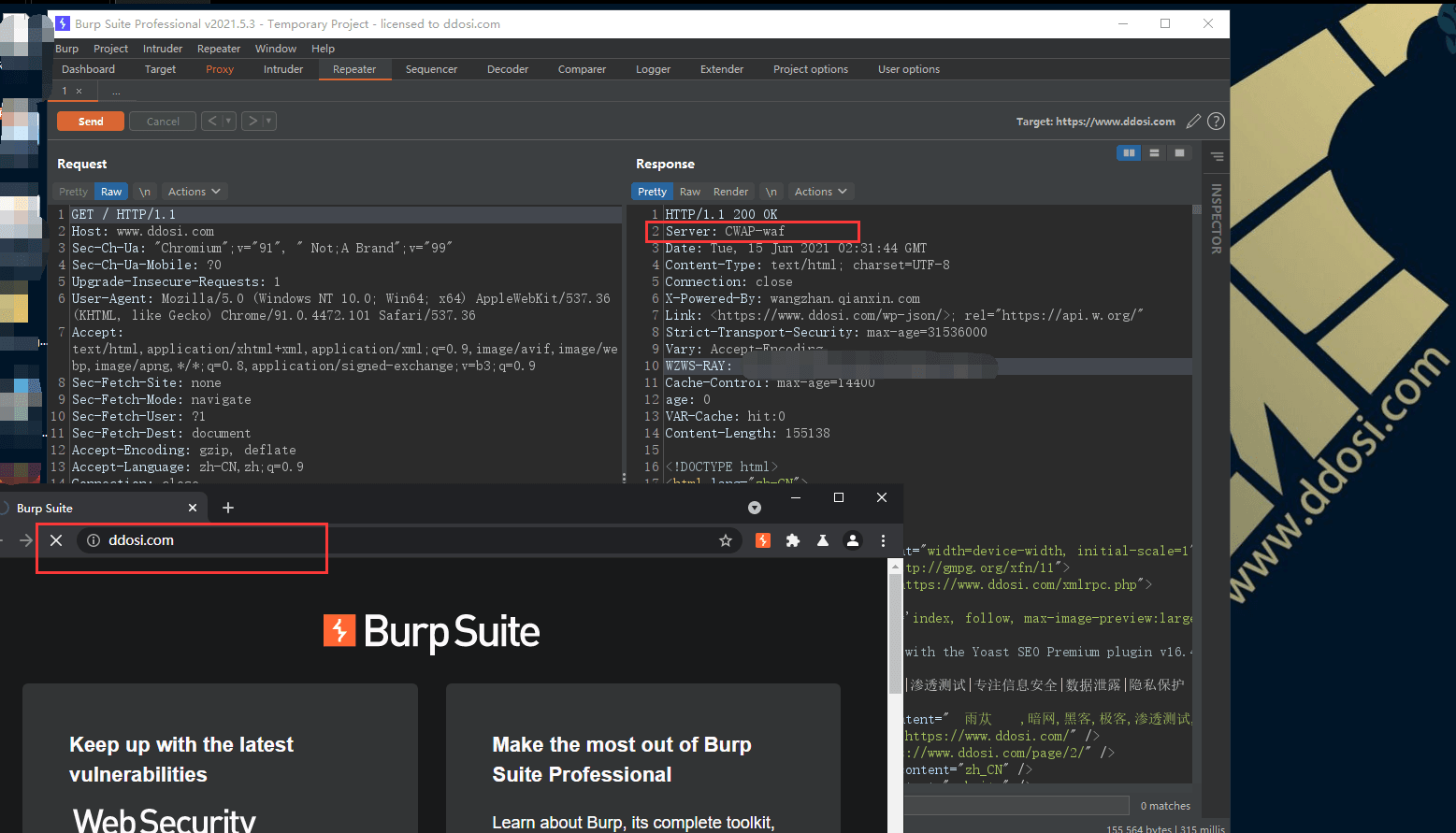 BurpSuite2021.5.3破解版下载build8265 cracked