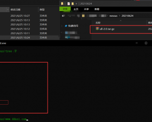 nessus插件下载|202106240112|all-2.0.tar.gz