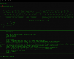 BruteShark数据包哈希用户名密码提取 可视化网络图构建工具