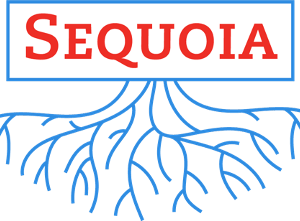 Sequoia Linux文件系统提权漏洞|CVE-2021-33909
