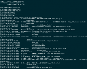 Kscan-简单好用的资产测绘工具|端口指纹存活自动探测