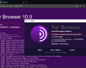 暗网浏览器Tor10.5发布-加入Snowflake网桥