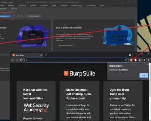 BurpSuite2021.8破解版下载build9152 cracked