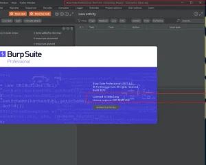 BurpSuite2021.8.3破解版下载build9673 cracked