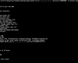 VMware vCenter 中CVE-2021-22005的完整PoC