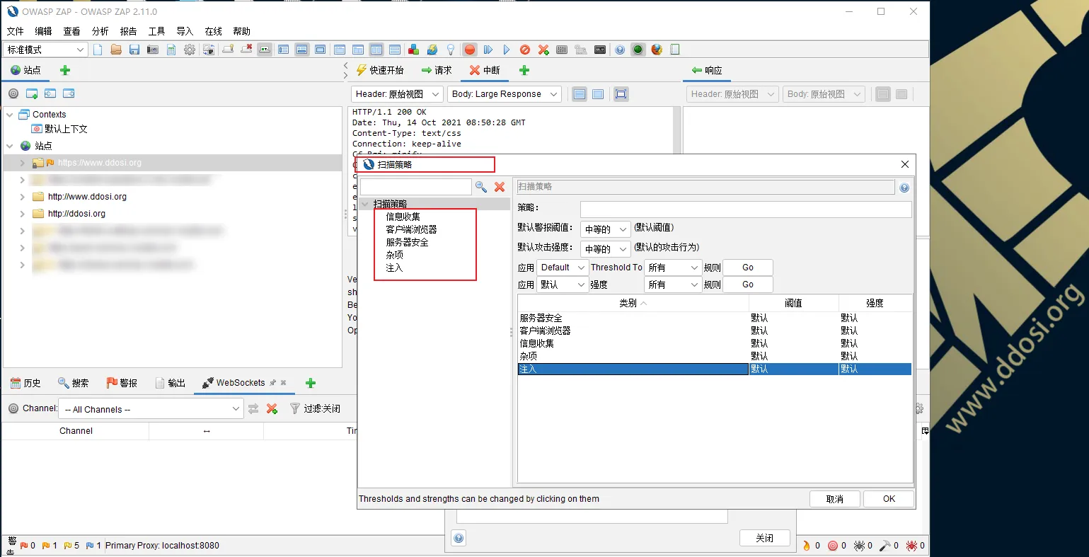 OWASP 20周年纪念版发布|zaproxy|ZAP 2.11.0