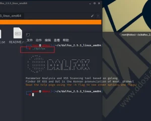 dalfox 基于golang的参数分析型XSS漏洞扫描工具