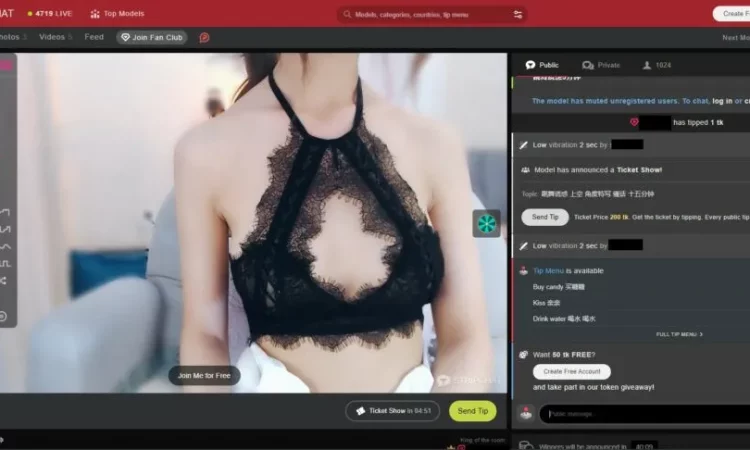 成人视频直播网站Stripchat 2亿条数据泄露