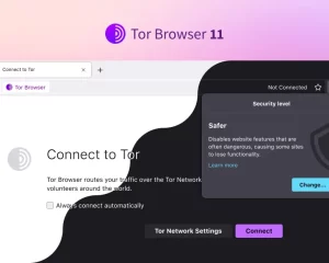 Tor浏览器11.0.1发布|Tor Browser 11.0.1|暗网浏览器