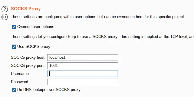 bugbounty openvpn socks|同时运行多个漏洞赏金平台vpn