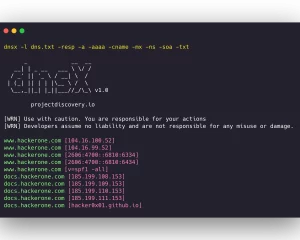 dnsx |快速DNS查询追踪工具