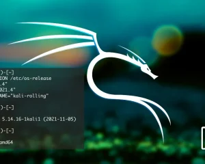 kali linux 2021.4发布|支持Apple M1|添加9款新工具|ARM更新