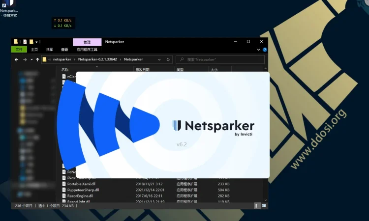 Netsparker破解版6.2.1.33642 cracked