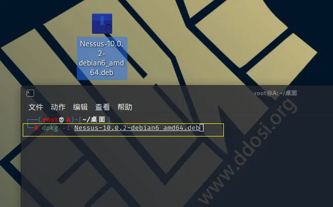 Nessus破解版插件下载|202201111911 nessus plugin pro