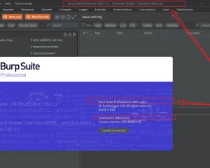 burpsuite2021.12.1破解版下载build11044 cracked