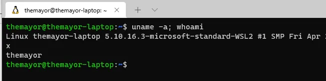 使用WSL2对Windows进行持久性控制