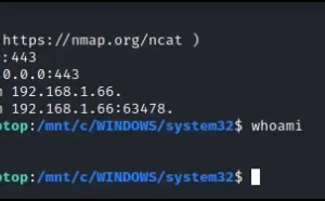 使用WSL2对Windows进行持久性控制