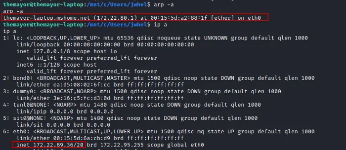 使用WSL2对Windows进行持久性控制