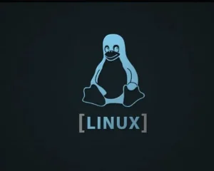 Linux系统安全强化指南 Linux Hardening Guide