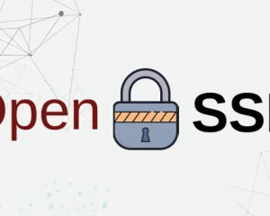 OpenSSL无限循环漏洞可崩溃远程服务器CVE-2022-0778