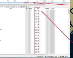 Anonymous入侵俄罗斯国家电视广播VGTRK 786G数据泄露